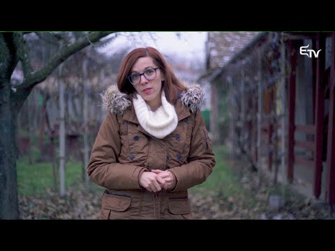 Kultúrcsepp: a mese – 2020. december 1.