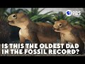 Is This The Oldest Dad In The Fossil Record