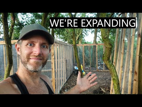 , title : 'We're Expanding the Pheasantry | 100 Days Farming  - Day 87'