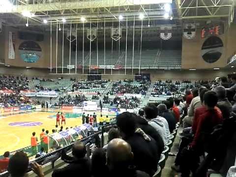 Buitre suelto en elpozo - ínter movistar