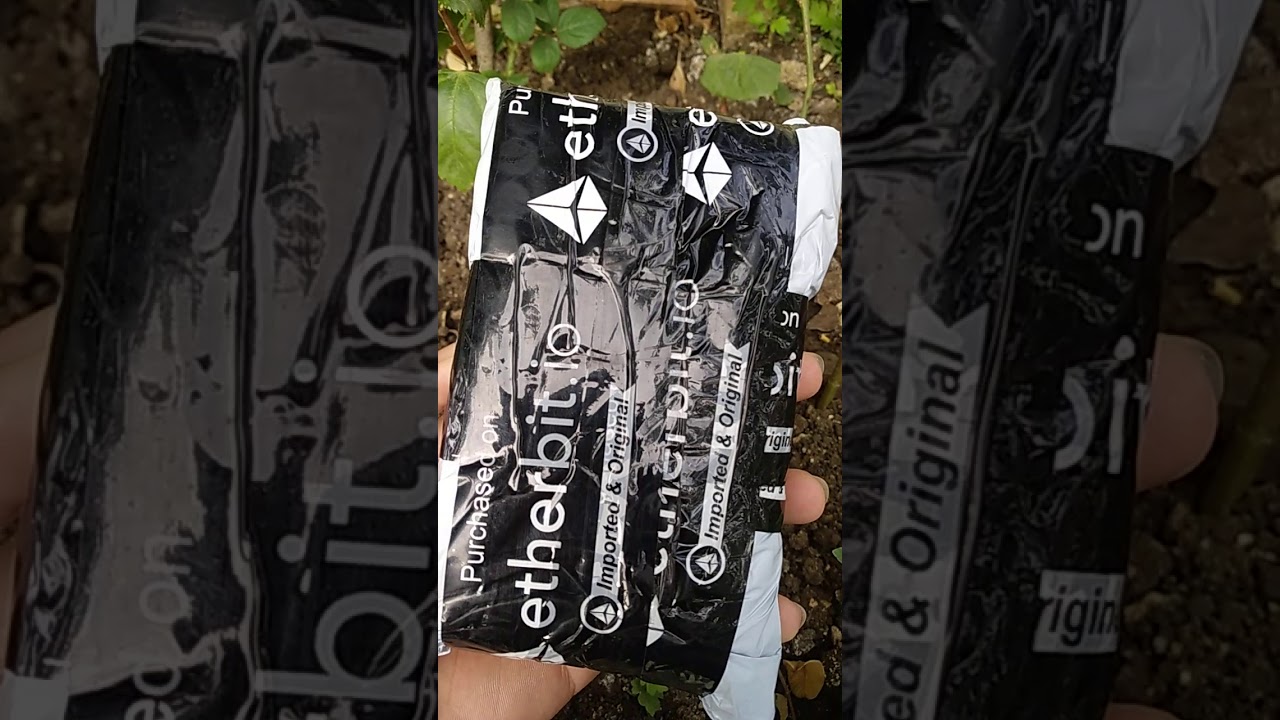 A Youtuber reviews Etherbit.in on YouTube Shorts