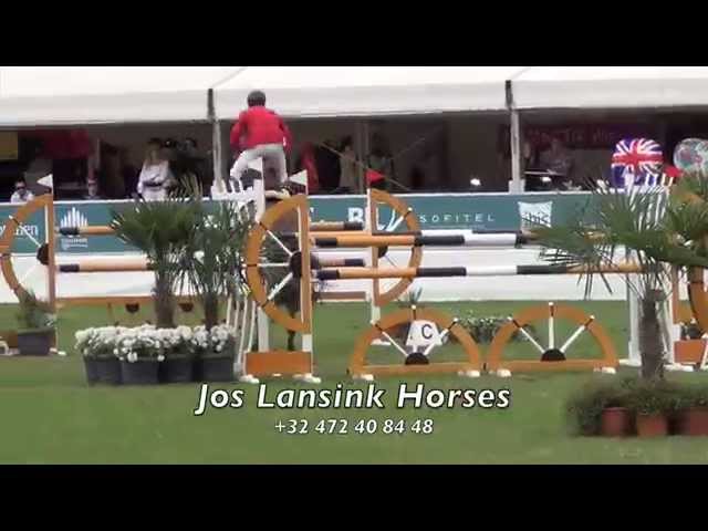 Half-brother of the mother of this Frozen Embryo is the CSI 1.60m jumping horse Horizon de Regor with rider Jos Lansink.