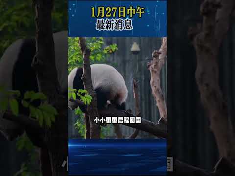 2026年1月27日中午最新国际消息！ #特朗普 #普京 #熱點 #資訊 #國際局勢 #國際熱點事件 #全球資訊   #国际新闻  #軍事愛好者