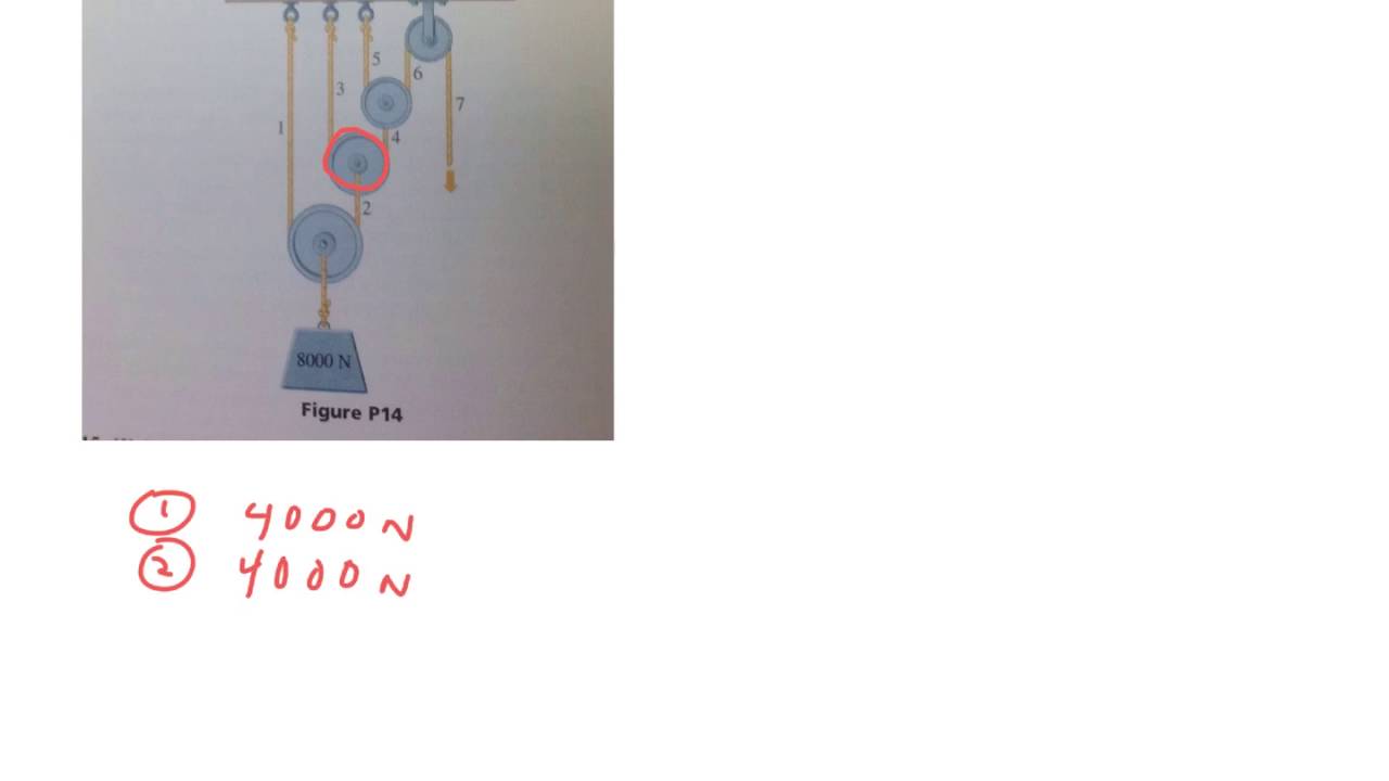 Day 13 AP HW, Page 197 #14