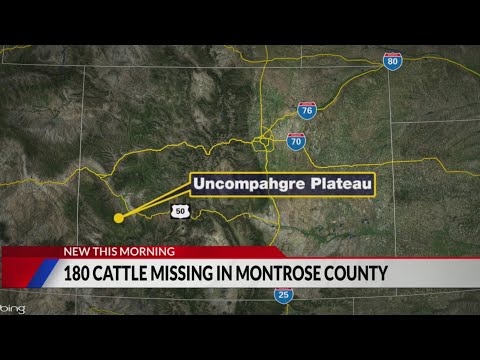 180 heard of cattle disappear from southwest Colorado
