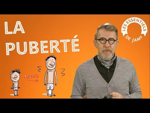 QUE SE PASSE-T-IL A LA PUBERTÉ - Les essentiels de Jamy