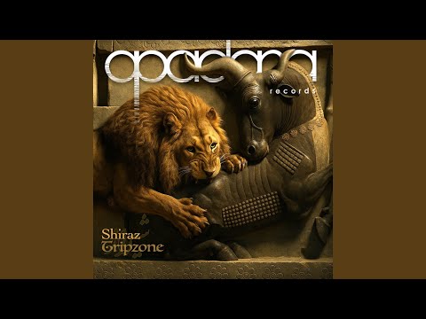 Vibrant Noir (feat. Mdk)