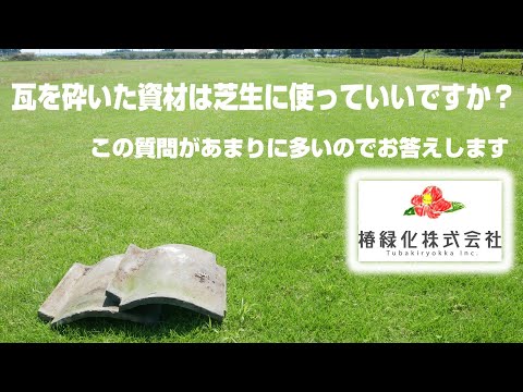 芝生や庭でカタバミと戦うにはどうすればよいですか？有機栽培についての誠実な答え!  庭園
