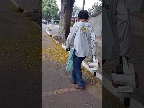 1 limpeza das praças de presidente Olegário Mg