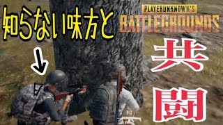 【PUBG】知らない人と共闘してドン勝出来るか はみあんまさ実況