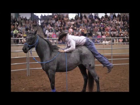 Walkabout Tour, Murfreesboro TN