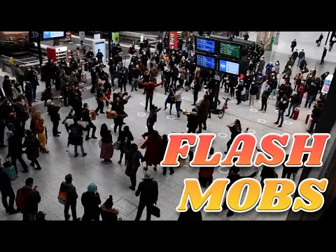 Flashmobs for Freedom   SolutionsWatch