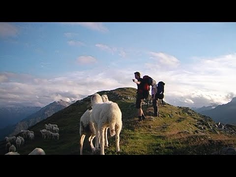 Die Pfade der Coolness - OfficialTrailer