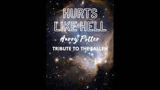 Music video thumbnail preview for Harry Potter  Tribute to the Fallen by Harry and the Potters