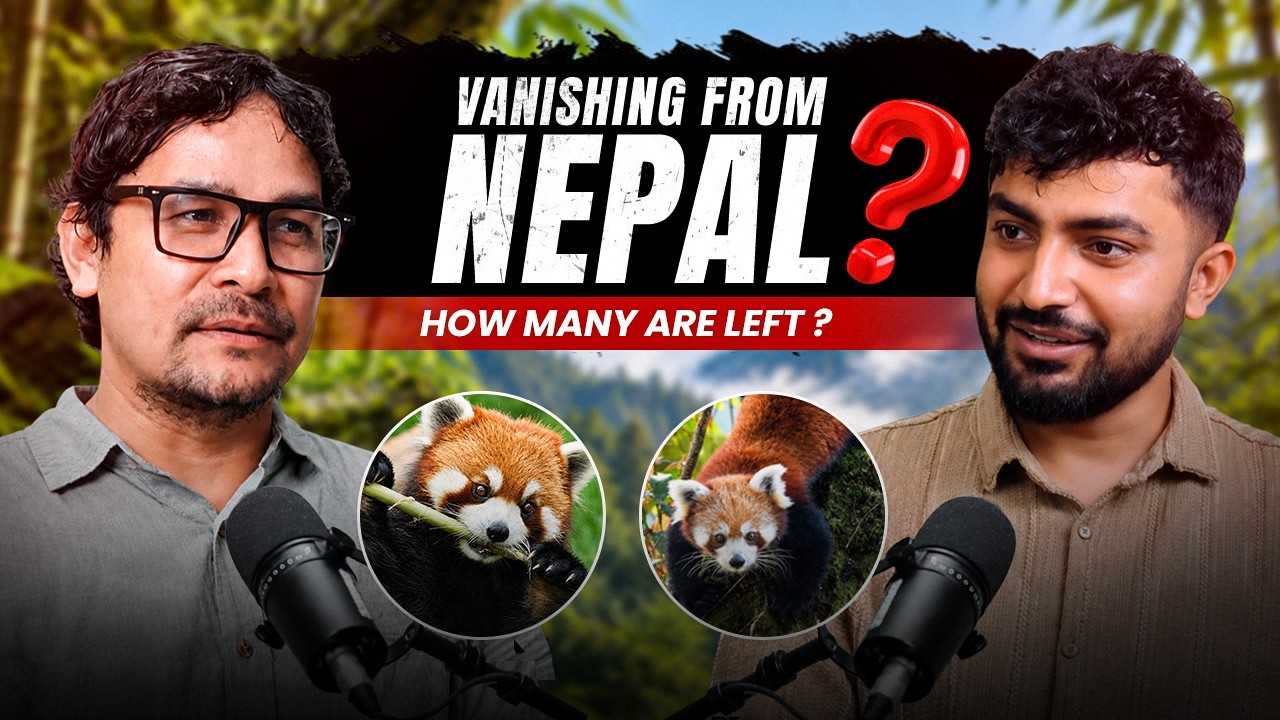 EP 05 - Are We the Last Generation to See Nepal's Red Panda?