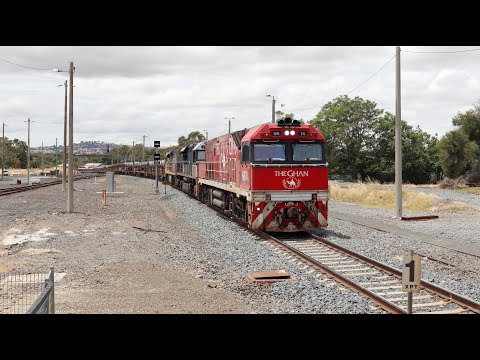 The Steel Train at Seymour 4/01/21