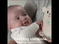 Fisher Price raminantis vibruojantis Ežiukas