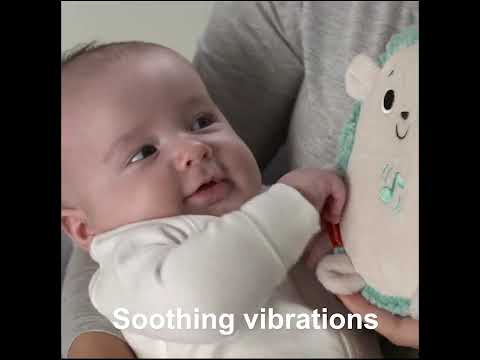 Fisher Price raminantis vibruojantis Ežiukas video