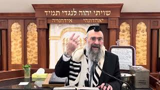 מהו "פסל היוצא מן הסוכה" ודיני הסכך ומעמידיו (הרב יצחק ישראלי) - התמונה מוצגת ישירות מתוך אתר האינטרנט יוטיוב. זכויות היוצרים בתמונה שייכות ליוצרה. קישור קרדיט למקור התוכן נמצא בתוך דף הסרטון