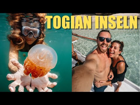 25€ All iInclusive im Paradies?  Eine Woche auf den Togean Insel (im Poki Poki)