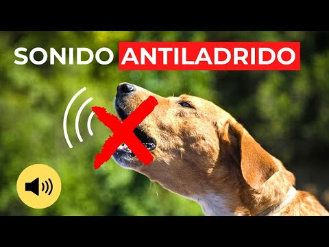 Callar Perro que Ladra Mucho 🐕 Sonido Antiladridos Perros