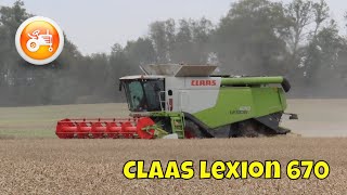 Harvest 2025 | Claas Lexion 670 combine & V770 header