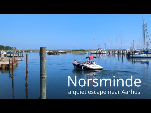 A Day at Norsminde – Danish Coastal Atmosphere