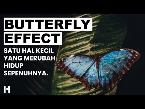 Butterfly Effect: Satu Hal Kecil Yang Merubah Hidup Sepenuhnya