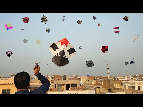 Kite Festival Basant 2023 - Full Patang Bazi at Faisalabad - basant bahar - Mr.Kite