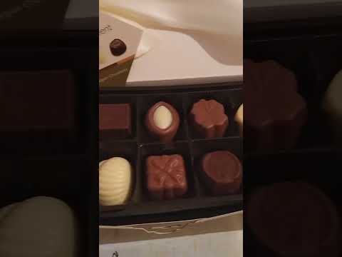 Belgian Chocolate #shorts #shortvideo