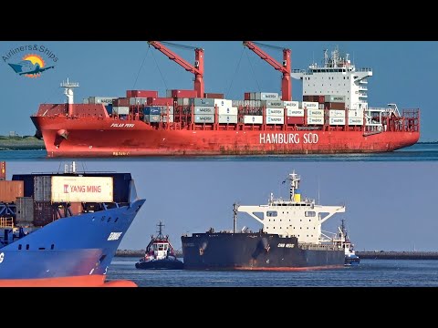 SHIPSPOTTING Hafen von ROTTERDAM September 2021