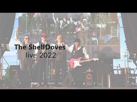 The ShellDoves live 2022 - Dni obce Pata