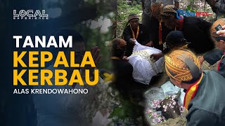 Misteri Alas Krendowahono: Tempat Pertemuan Rahasia Diponegoro-PB VI hingga Betari Durga Bersemayam