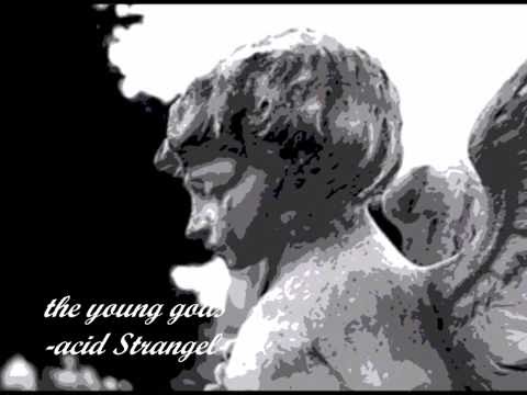 THE YOUNG GODS -acid strangel