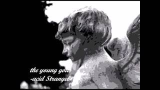 THE YOUNG GODS -acid strangel