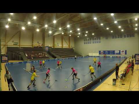 Ilves C2 - Classic D1