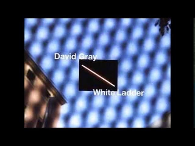 David Gray: Una mirada a la carrera del artista musical