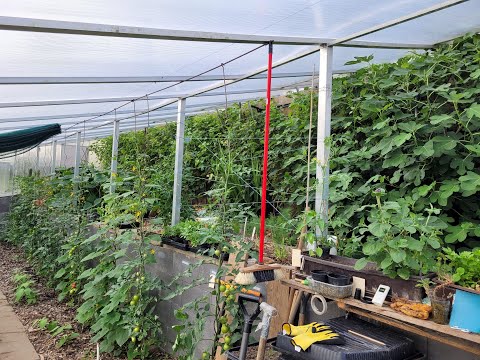 Potravinová soběstačnost - Proč nejsme potravinově soběstační