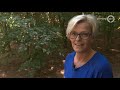 'Het is alsof je een kind verliest', Tineke treurt om doodgebeten teckeltje