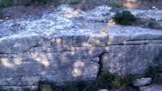 preview picture of video 'le fossé du castrum de St-Gabriel à St-Étienne-du-Grès'