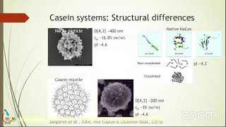 Alev Emine İnce Coşkun, Özgül Özdestan Ocak: Bazı Kazein Sistemlerinin Köpüklenme Özellikleri