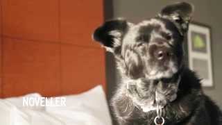 Noveller - St. Vincent - Day 30, Drive Day