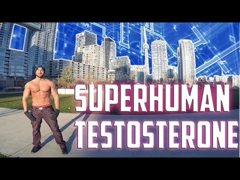 How To Increase Testosterone Naturally | SuperHuman Testosterone BluePrint For Alpha Males