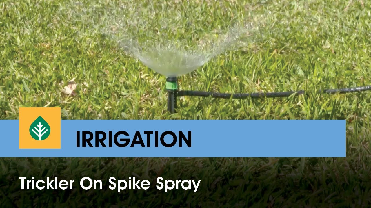 Vortex on Stake spray pattern