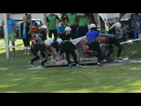 SDH Hradec ženy - Všekary 17:14