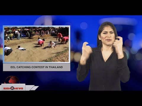 Eel catching contest in Thailand (ASL - 12.17.18)