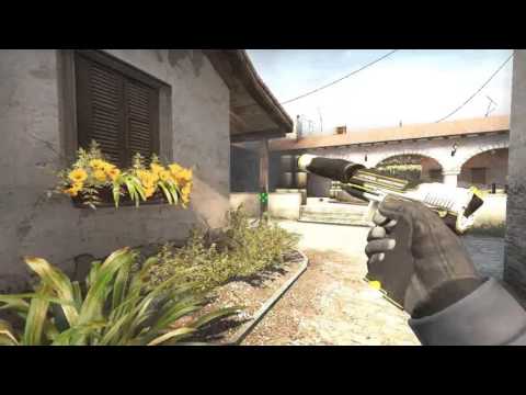 【Paladiino】CSGO Highlights #1