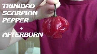 Trinidad Scorpion Pepper (~1,400,000 Scovilles) | Afterburn