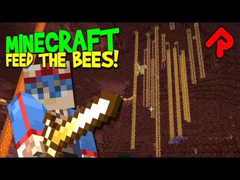 Finding Nether Quartz for Solar Power | Minecraft Feed the Beast Revelation | Feed the Bees ep 8