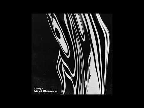 Paul Hauck - Serotonin [LUAP001]